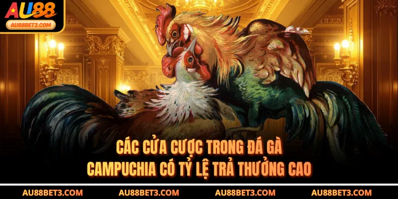 Các cửa cược trong đá gà Campuchia có tỷ lệ trả thưởng cao